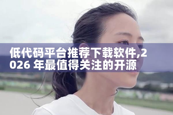 低代码平台推荐下载软件|P站专业版