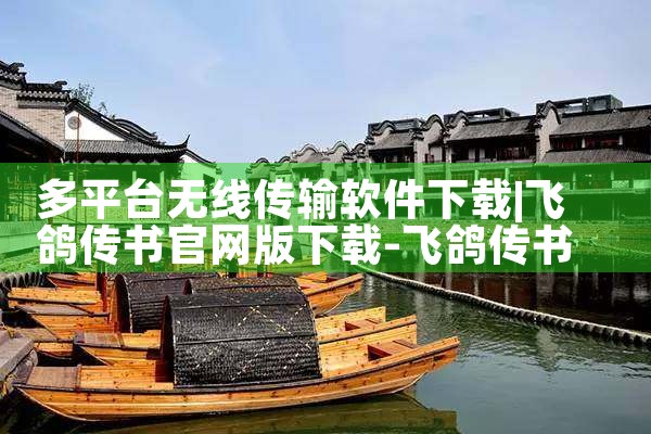 多平台无线传输软件下载|P站专业版