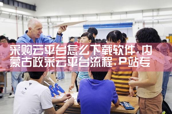 采购云平台怎么下载软件|P站专业版