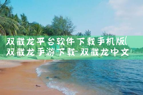 双截龙平台软件下载手机版|糖心Vlog