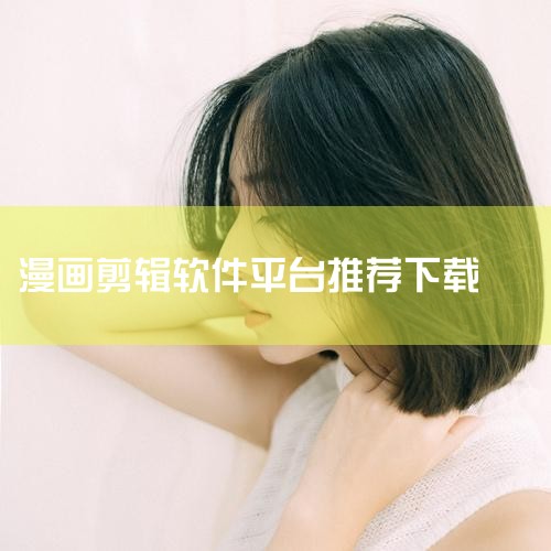 若需使用类似软件，建议下载其继承者Clip Studio Paint（CSP），该软件有PRO（侧重插图）和EX（增强漫画功能）版本，可通过CELSYS官网或正规软件平台获取。网纸使用：从网上下载的C,P站专业版