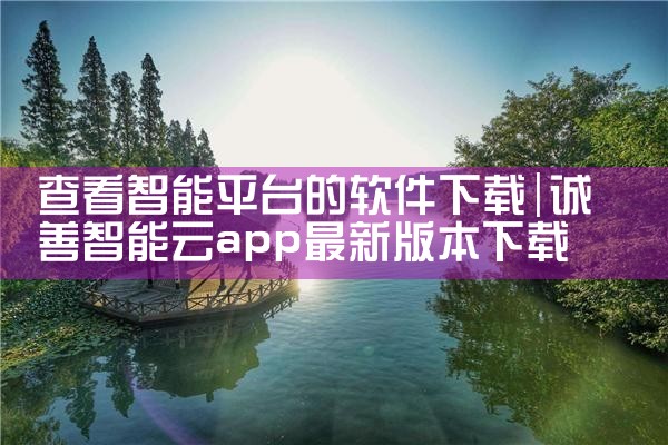 查看智能平台的软件下载|P站专业版