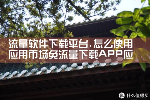 流量软件下载平台|小蓝视频