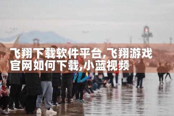 飞翔下载软件平台|小蓝视频