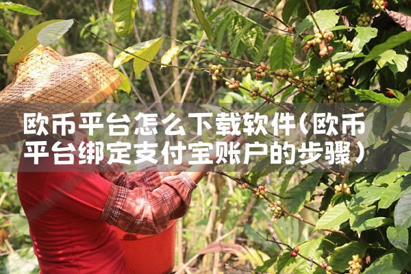 欧币平台怎么下载软件|糖心Vlog