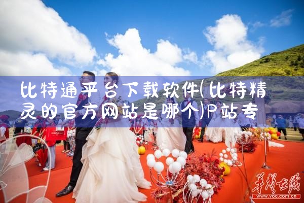 比特通平台下载软件|P站专业版
