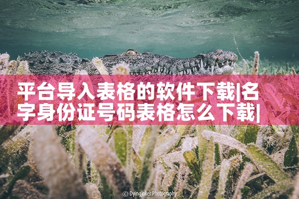 平台导入表格的软件下载|P站专业版